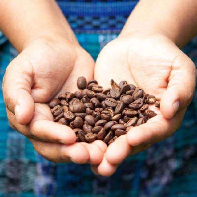 Providing the best coffee beans Guatemala has to offer.